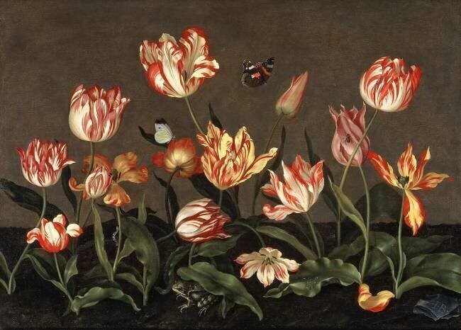 Still Life with Tulips Johannes Bosschaert