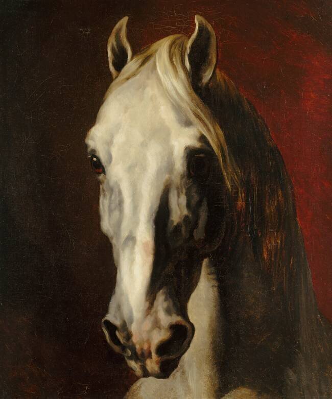 Tête de cheval blanc Théodore Géricault