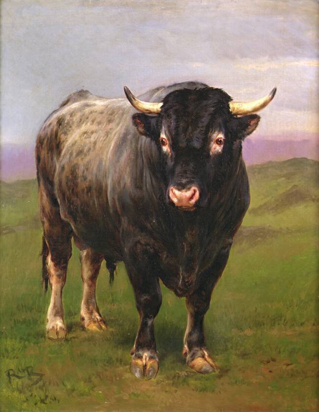 The Black Bull Rosa Bonheur