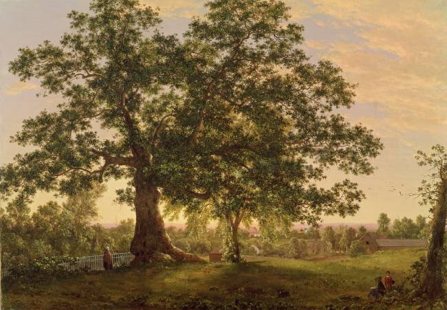 The Charter Oak at Hartford Frederic Edwin Church