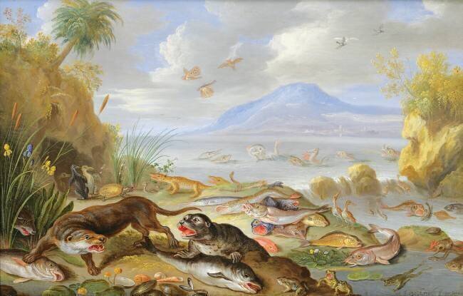 The Element of Water Jan van Kessel