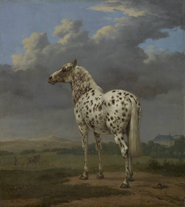 The "Piebald" Horse Paulus Potter
