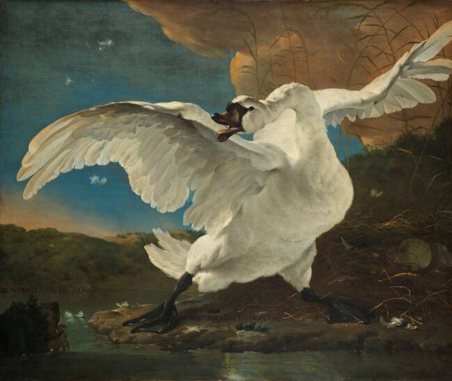 The Threatened Swan Jan Asselijn