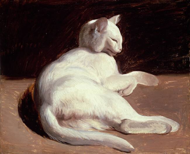 The White Cat Théodore Géricault