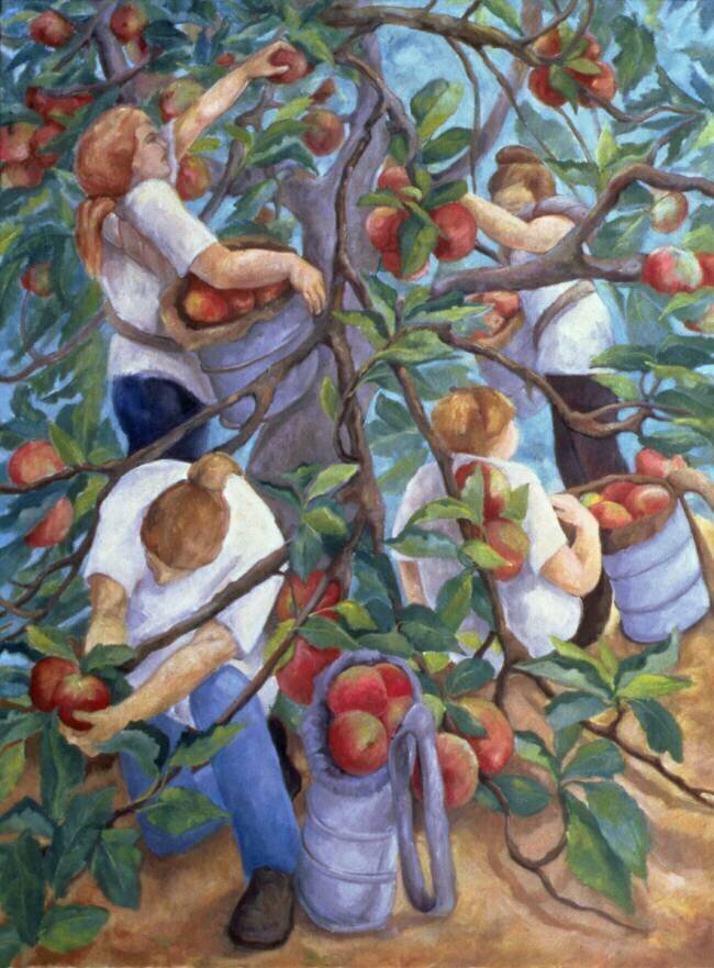 Apple Pickers Cristiana Angelini