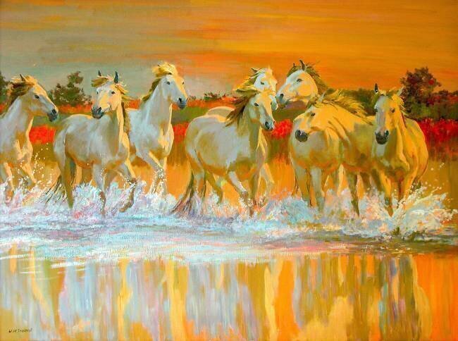 Camargue William Ireland