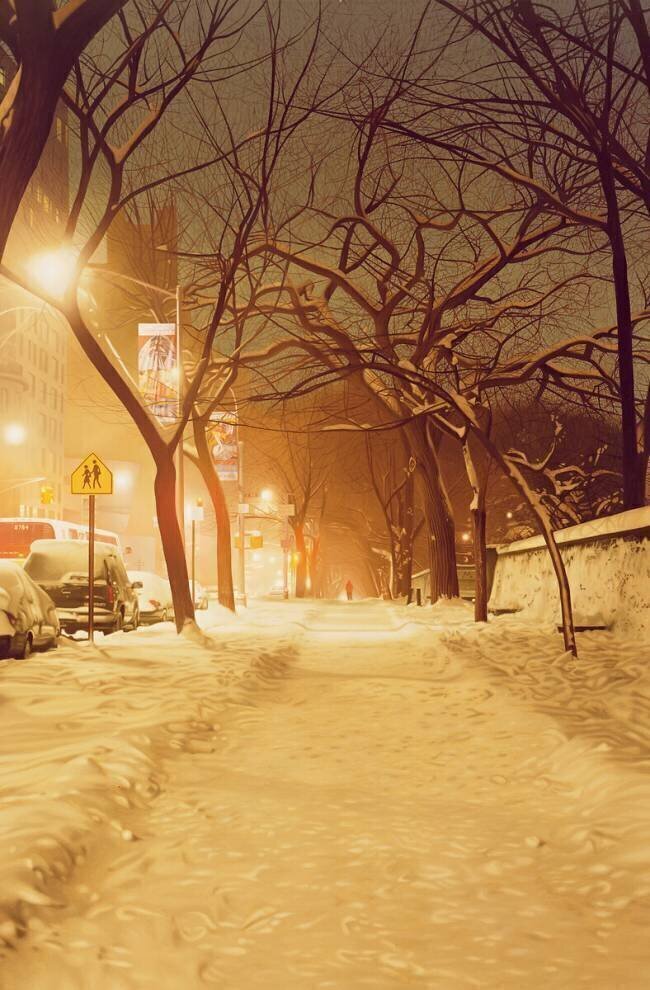 Central Park Nocturnal Snow II Max Ferguson