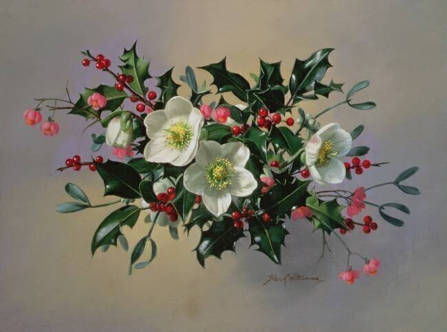 Christmas roses Albert Williams