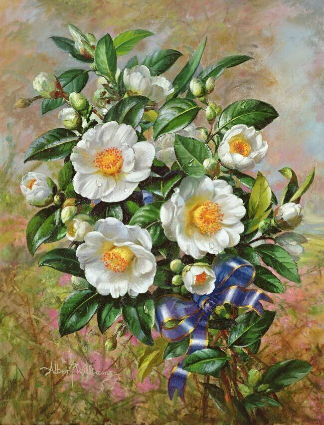 Coronation Camelia from the 'Golden Jubilee' series Albert Williams