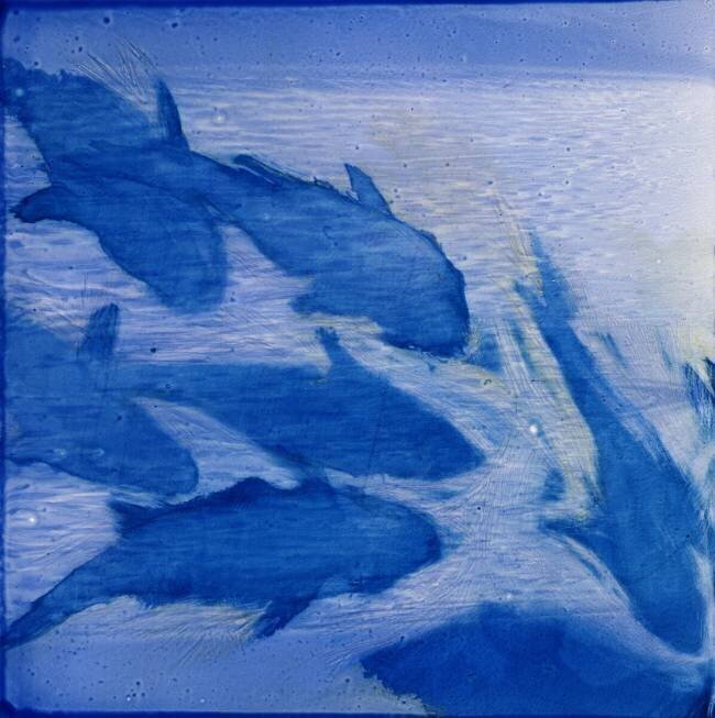 Damsels I Charlotte Johnstone