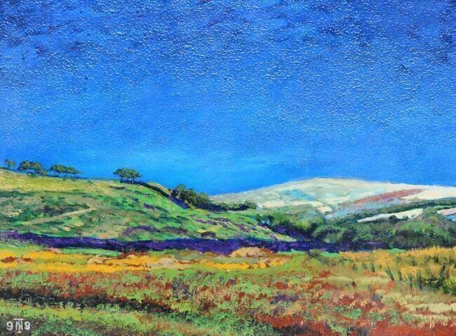 Derbyshire landscape Trevor Neal