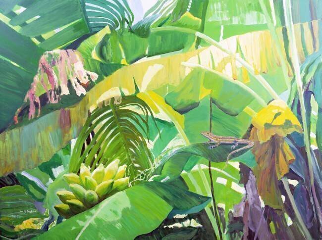 Gekko William Ireland