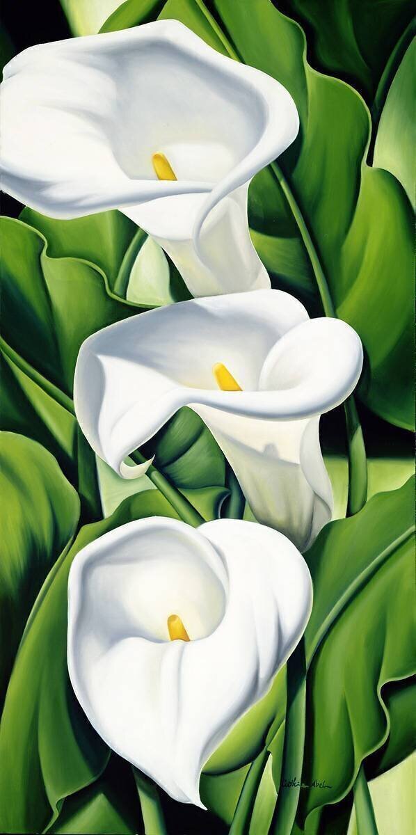 Lilies Catherine Abel