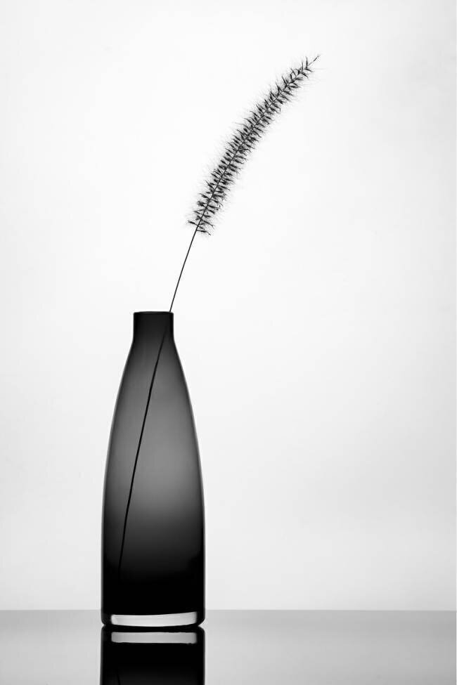 Minimalist Eyal Amer