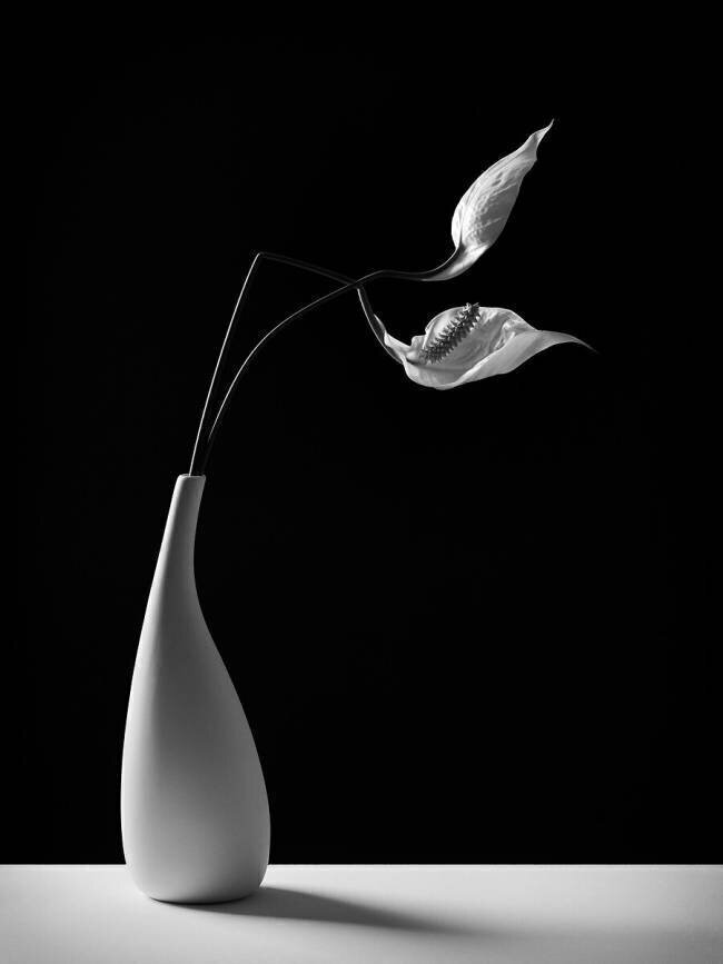 Passionately Kristina Oveckova