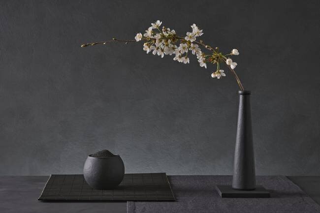 Prunus Avium Christophe Verot