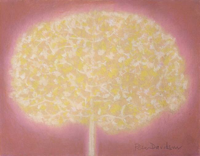 Sans titre Peter Davidson