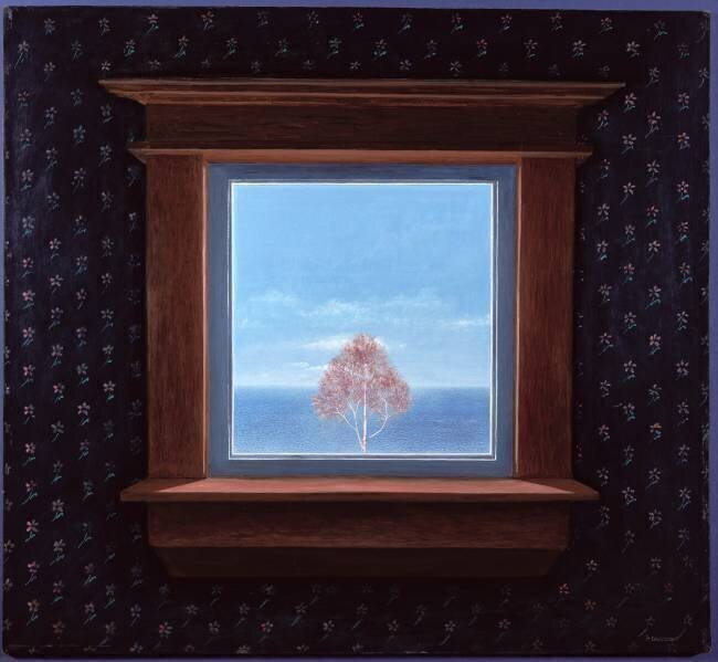 Through the Window Peter Davidson