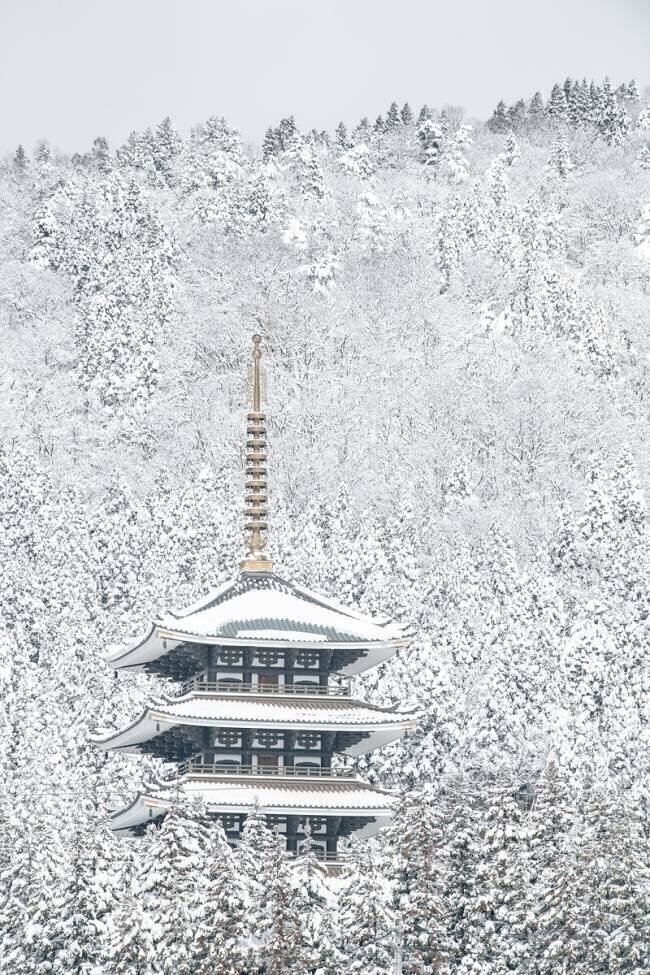 Tower of Winter Naoya Yoshida