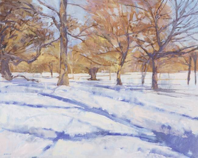 Winter, Richmond Park Christopher Glanville