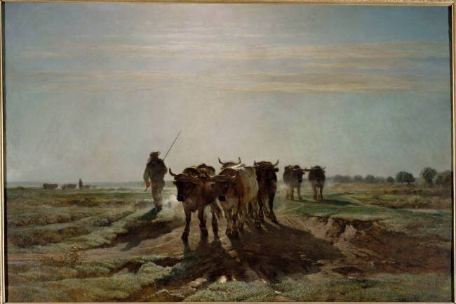 Boeufs allant au labour, effet du matin Constant Troyon