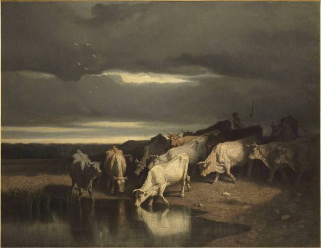 Boeufs à l'abreuvoir Charles Jacque