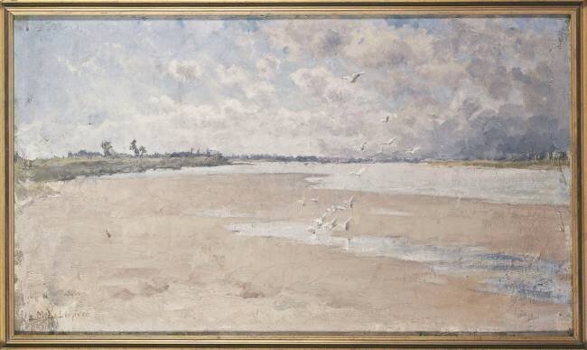 Bords de Loire, mouettes Maurice Le Liepvre