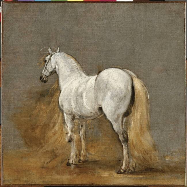 Cheval blanc. Etude Adam Frans van der Meulen