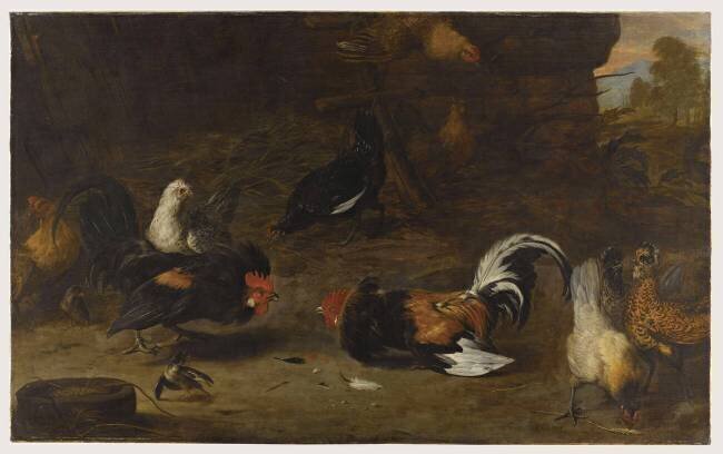 Combat de coqs Melchior de Hondecoeter