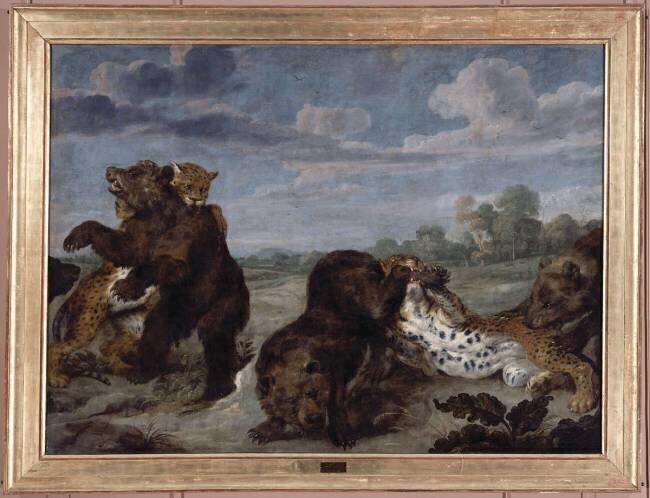 Combat d'ours et de léopards Paul de Vos
