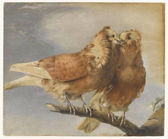 Deux pigeons sur une branche d'arbre Marie-Thérèse Vien