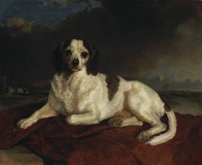 Ham, chien de Louis-Napoléon à Ham Henriette Jacotte Cappelaere