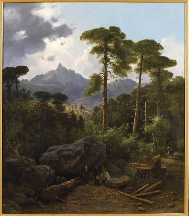 La forêt de Valdoniello Jean-Luc Multedo