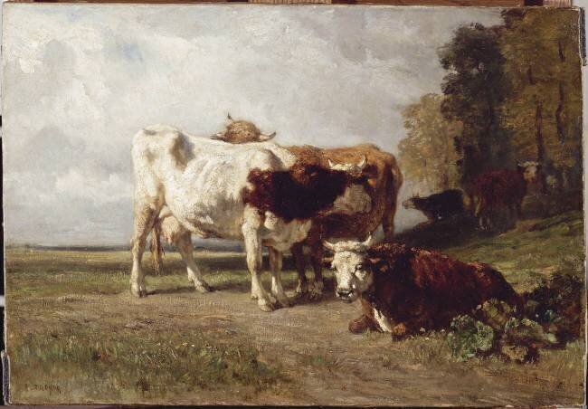 Vaches au repos Constant Troyon
