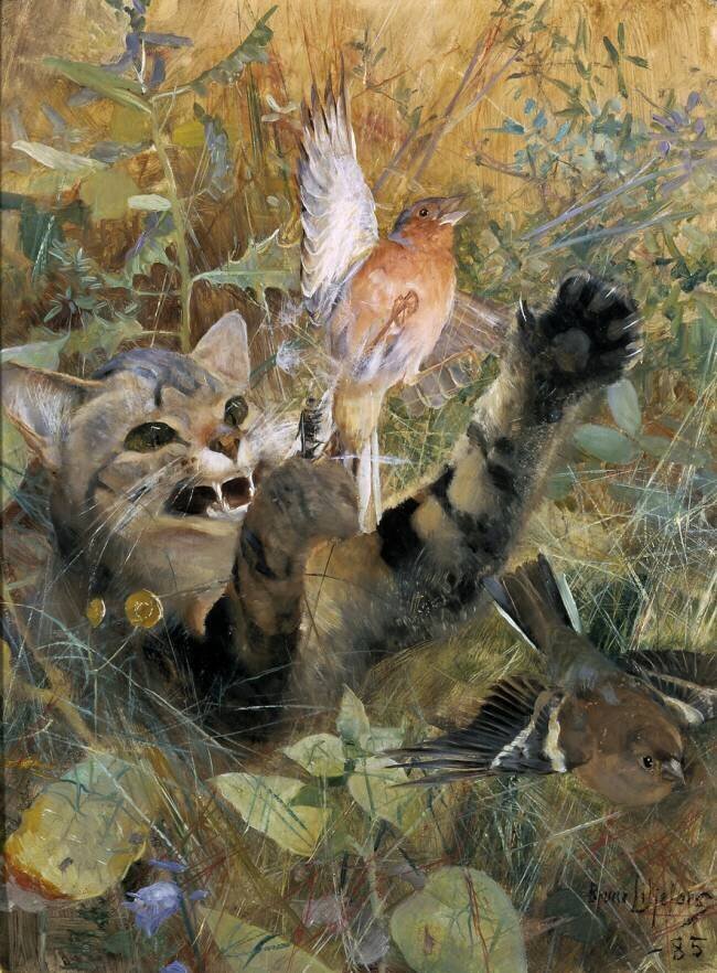 A Cat and a Chaffinch Bruno Liljefors