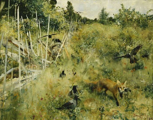 A Fox Taking a Crow Bruno Liljefors