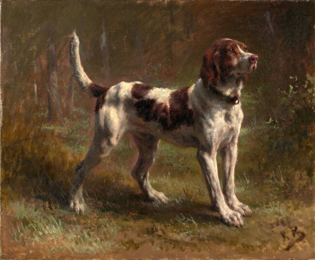 A Limier Briquet Hound Rosa Bonheur