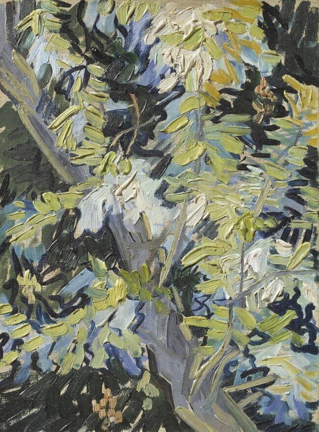 Acacia in Flower Vincent van Gogh