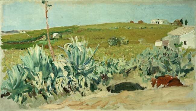 Agaves à Séville Joaquin Sorolla y Bastida