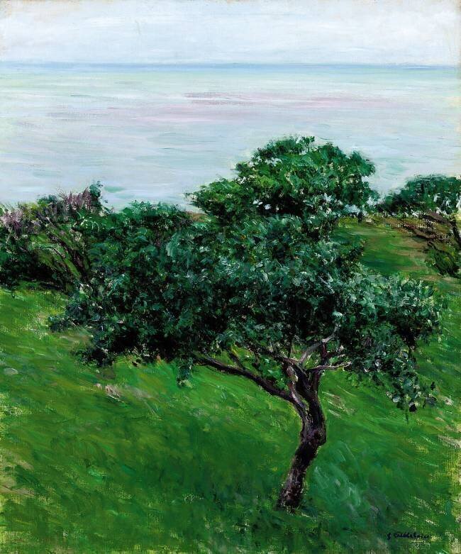 Apple Trees by the Sea at Trouville Gustave Caillebotte