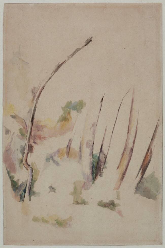 Arbres Paul Cézanne