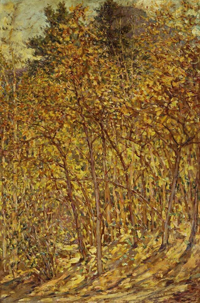 Autumn Sunlight Robert Reid
