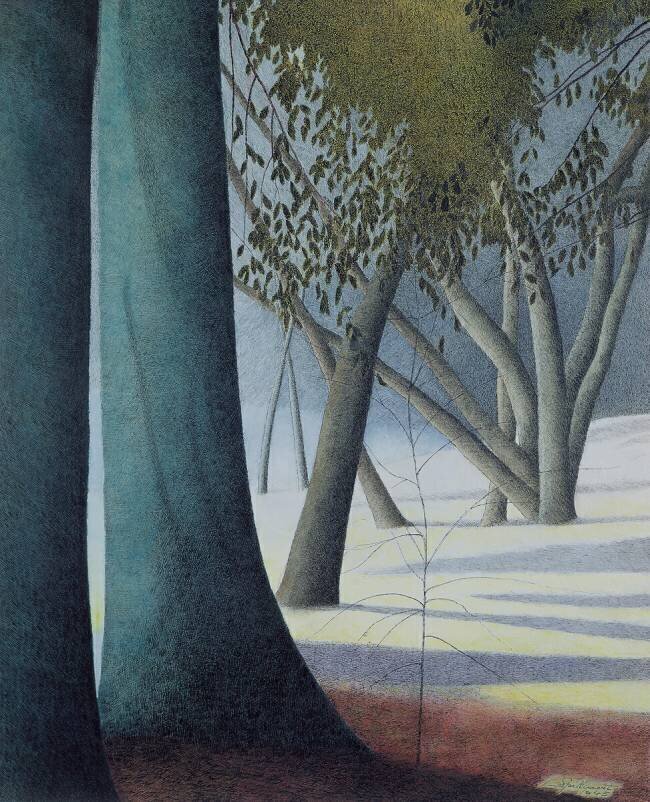 Beech Trunks Léon Spilliaert