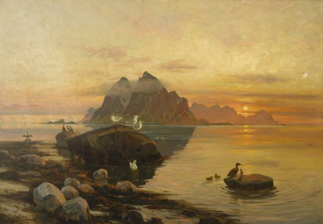 Bird Life Thorolf Holmboe