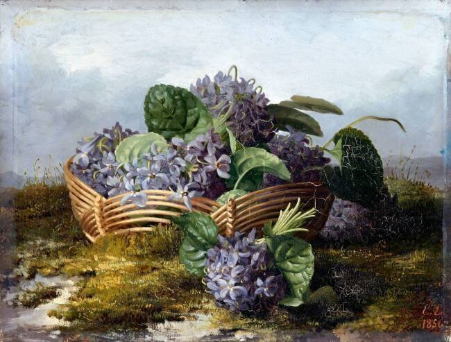 Bouquet de violettes dans un panier Eléonore Escalier