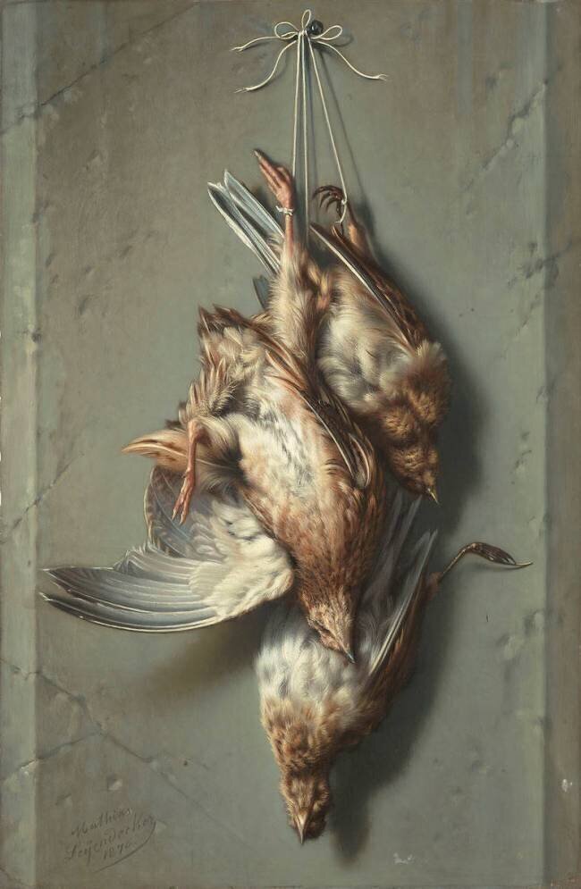 Cailles et alouettes Mathias Leyendecker