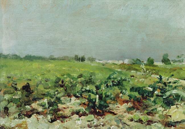 Celeyran Henri de Toulouse-Lautrec