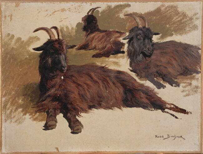 Chèvres couchées ; 3 esquisses Rosa Bonheur