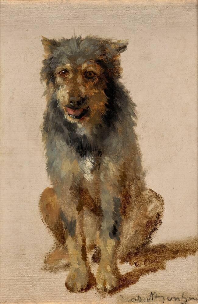 Chien Rosa Bonheur