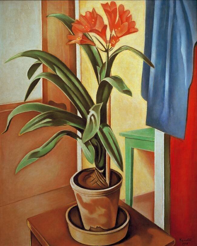 Clivia Alexander Kanoldt